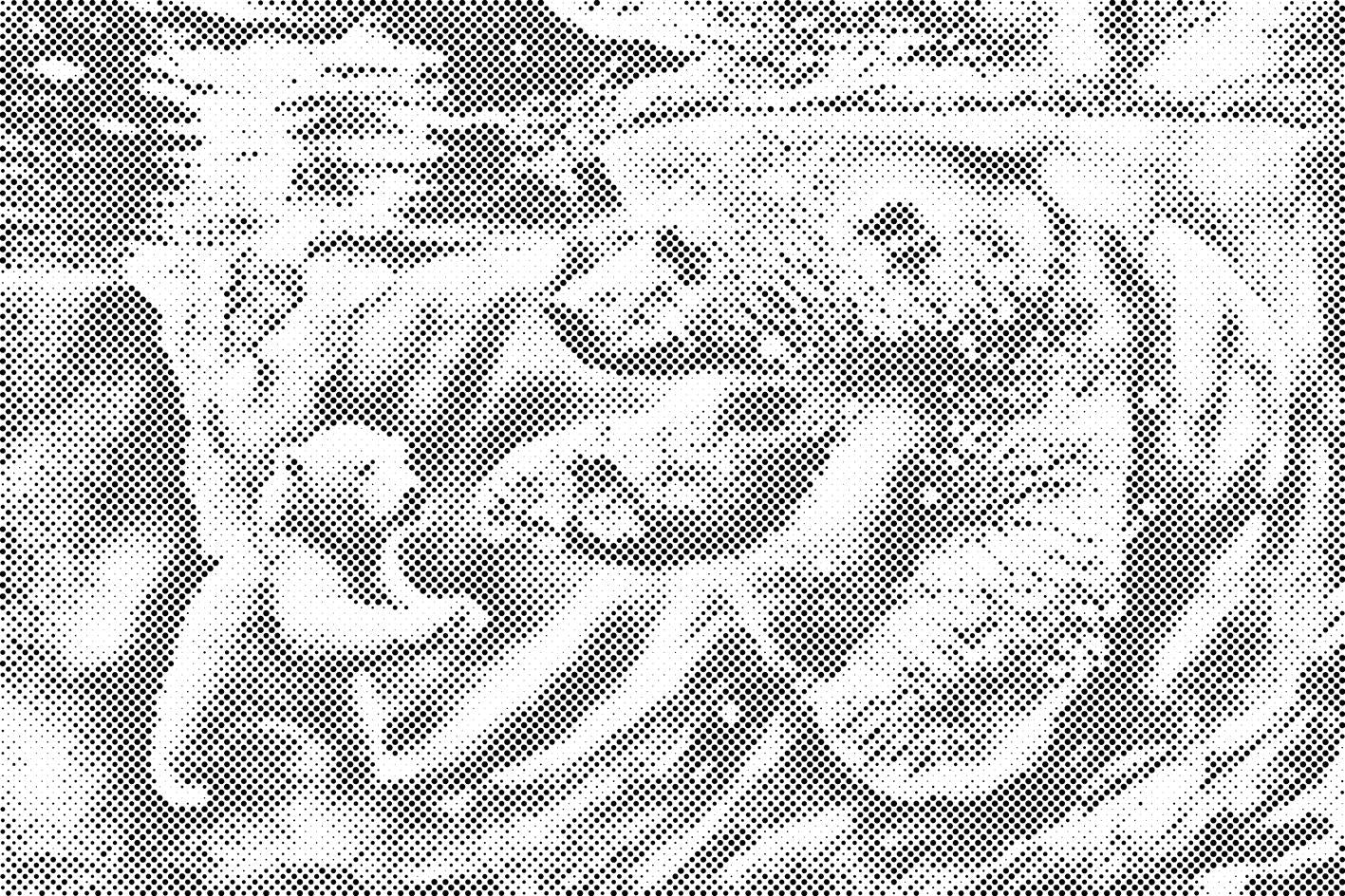 Polarni medved plava - Dottingo