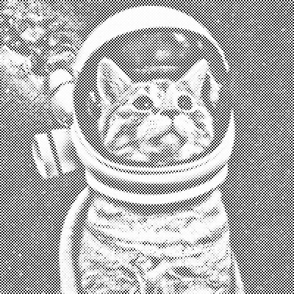 Hočem biti astronavt - Dottingo