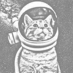 Hočem biti astronavt - Dottingo