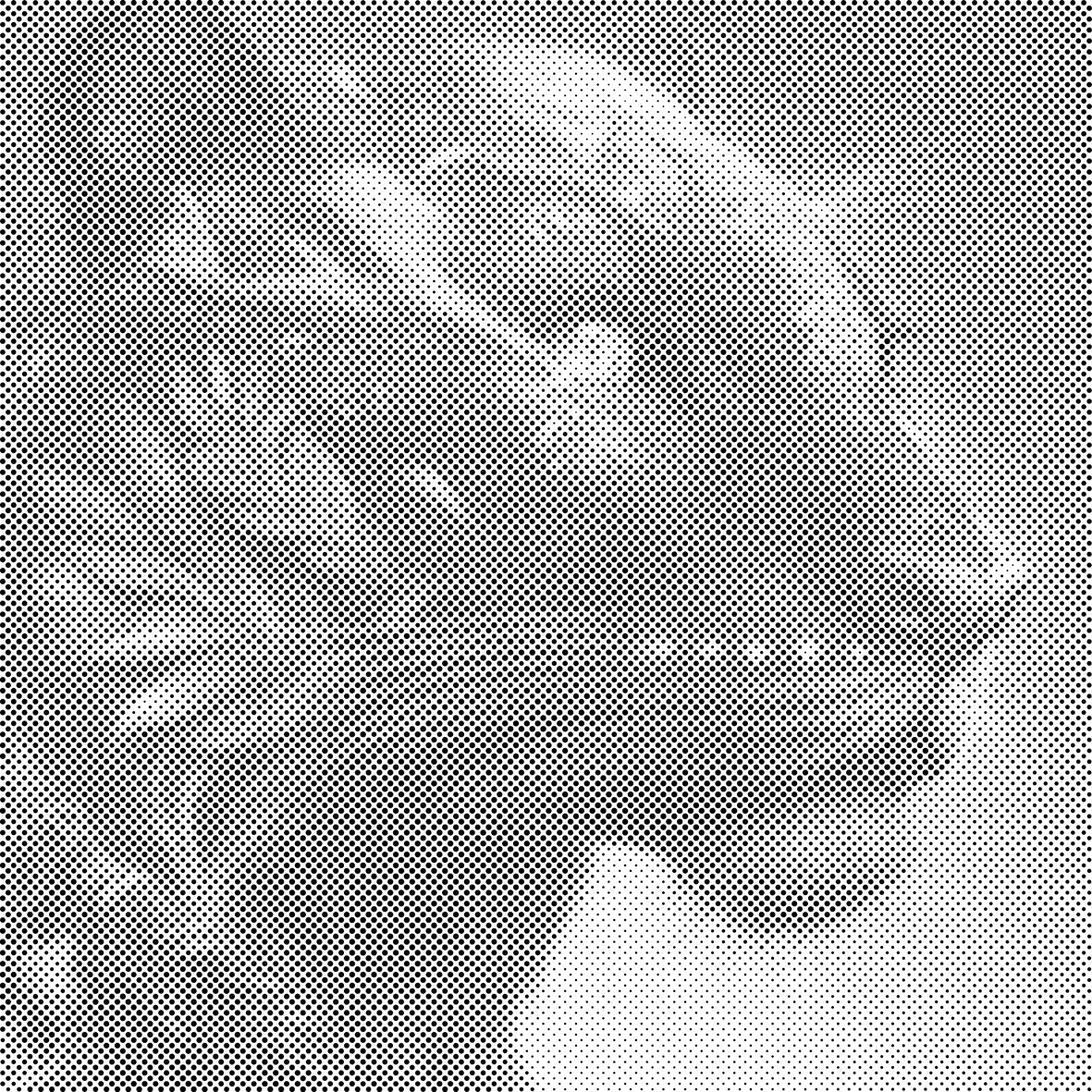 Črna puma - Dottingo