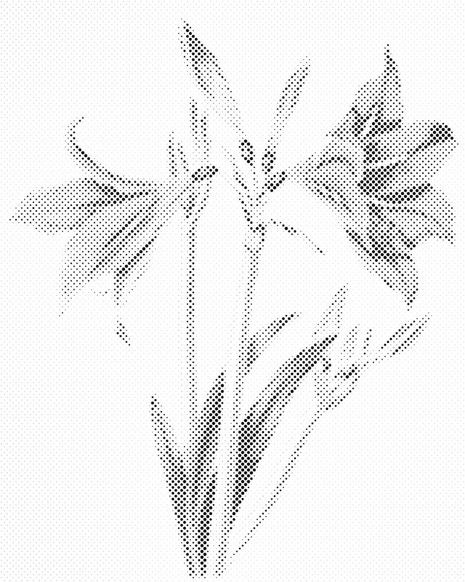 Vintage lilije - Dottingo