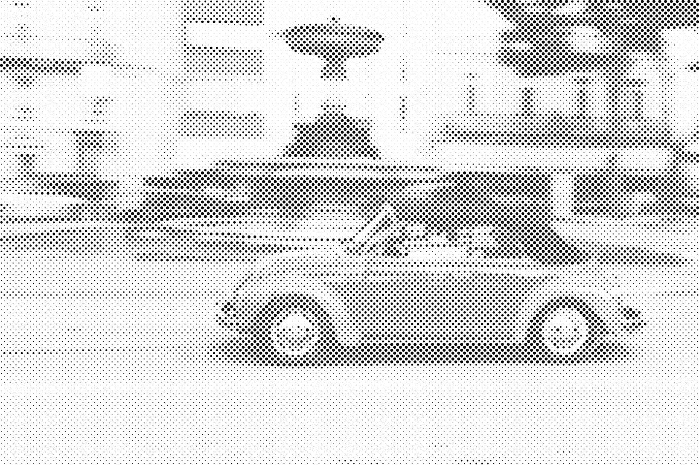 Volkswagen hrošč 2 - Dottingo