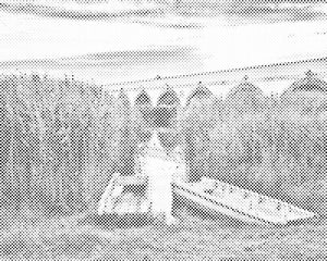 Pusta - Narodni park Hortobágy - Dottingo