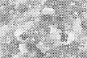 Barvite mačehe - Dottingo