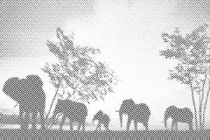 Sloni v savani - Dottingo