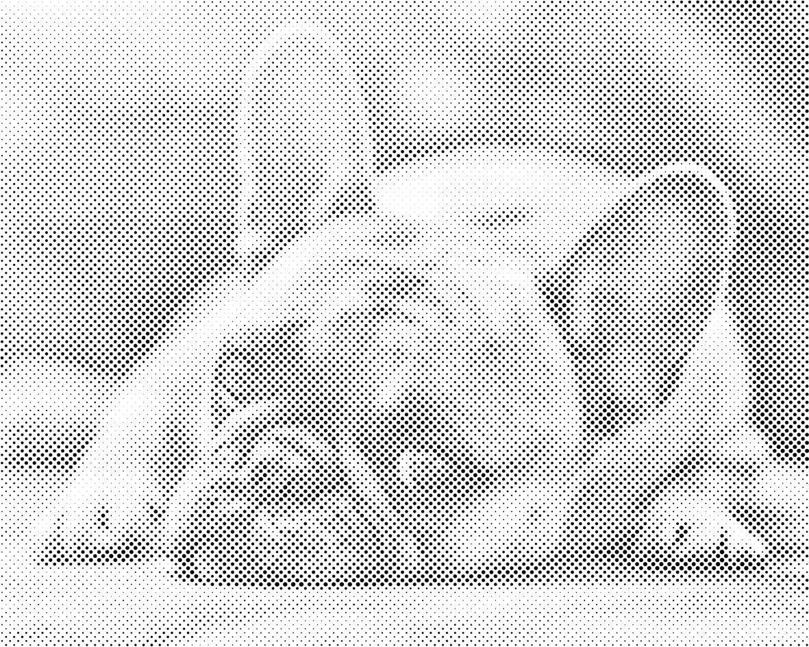 Buldog - Dottingo
