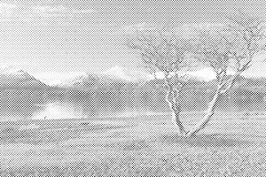 Keswick, Anglija 2 - Dottingo